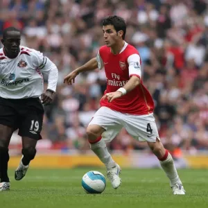Cesc Fabregas (Arsenal) Dwight Yorke (Sunderland)
