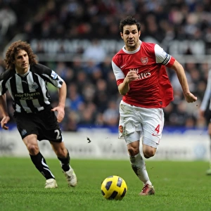 Cesc Fabregas (Arsenal) Fabricio Coloccini (Newcastle). Newcastle United 4: 4 Arsenal