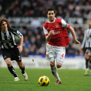 Cesc Fabregas (Arsenal) Fabricio Coloccini (Newcastle). Newcastle United 4: 4 Arsenal