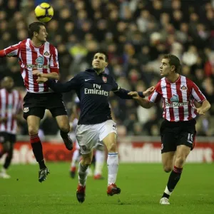 Cesc Fabregas (Arsenal) George McCartney and Jordan Henderson (Sunderland)
