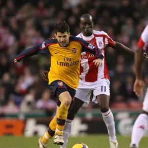Cesc Fabregas (Arsenal) Mamady Sidibe (Stoke)