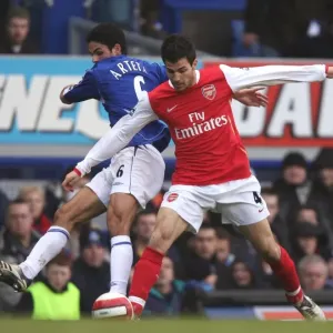 Cesc Fabregas (Arsenal) Mikel Arteta (Everton) Cesc Fabregas (Arsenal) Mikel Arteta (Everton)