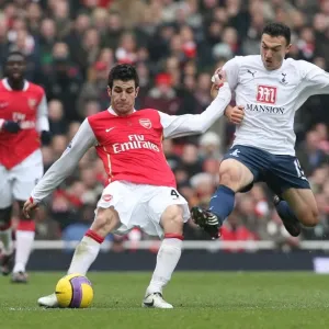 Cesc Fabregas (Arsenal) Steed Malbranque (Spurs) Cesc Fabregas (Arsenal) Steed Malbranque (Spurs)