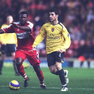 Cesc Fabregas (Arsenal) Yakubu (Middlesbrough) Middlesbrough 1: 1 Arsenal