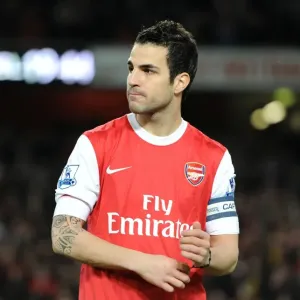 Cesc Fabregas and Arsenal's 3-0 Carling Cup Semi-Final Victory over Ipswich Town Cesc Fabregas and Arsenal's 3-0 Carling Cup Semi-Final Victory over Ipswich Town