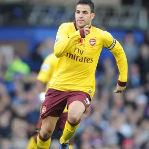 Cesc Fabregas: Arsenal's Leader in Everton Victory, Premier League 2010