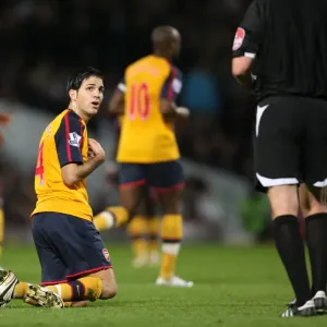 Cesc Fabregas is booked by referee Phil Dowd Cesc Fabregas is booked by referee Phil Dowd