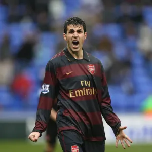 Cesc Fabregas celebrates the Arsenal victory at the final whistle