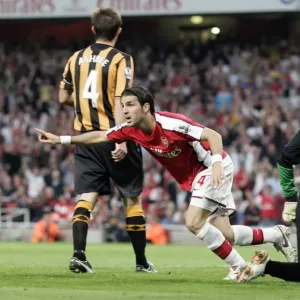 Cesc Fabregas celebrates Arsenals goal Cesc Fabregas celebrates Arsenals goal
