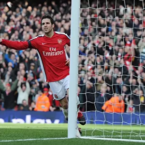 Cesc Fabregas celebrates scoring the 1st Arsenal goal. Arsenal 3: 1 Burnley