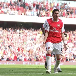 Cesc Fabregas celebrates scoring the 2nd Arsenal goal