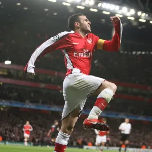 Cesc Fabregas celebrates scoring his 2nd Arsenals 3rd goal Cesc Fabregas celebrates scoring his 2nd Arsenals 3rd goal