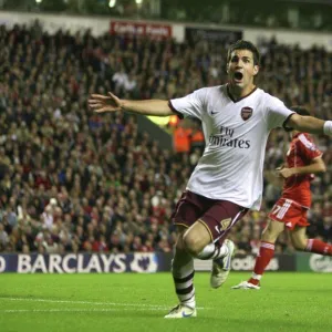 Cesc Fabregas celebrates scoring the Arsenal goal