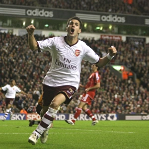 Cesc Fabregas celebrates scoring the Arsenal goal