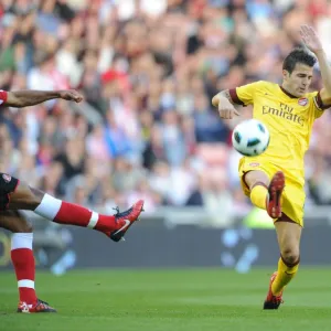 Cesc Fabregas deflects Anton Ferdinands clearance to score the Arsenal goal