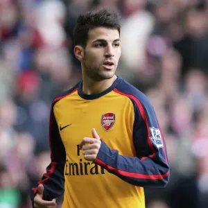 Stoke City v Arsenal 2008-09