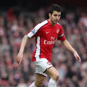 Cesc Fabregas Leads Arsenal to 2-0 Victory over Sunderland in Barclays Premier League