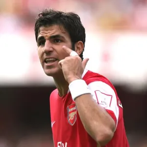 Cesc Fabregas Leads Arsenal to Glory: 2-1 Victory over Inter Milan at Emirates Cup Cesc Fabregas Leads Arsenal to Glory: 2-1 Victory over Inter Milan at Emirates Cup