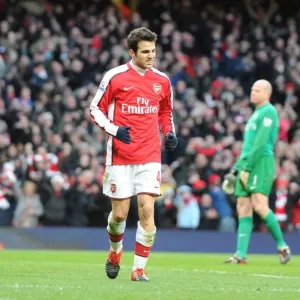 Cesc Fabregas limps away after scoring the 2nd Arsenal goal. Arsenal 3: 0 Aston Villa Cesc Fabregas limps away after scoring the 2nd Arsenal goal. Arsenal 3: 0 Aston Villa