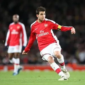Cesc Fabregas: Mastermind of Arsenal's 1:0 UEFA Champions League Victory over Dynamo Kiev (November 25, 2008)