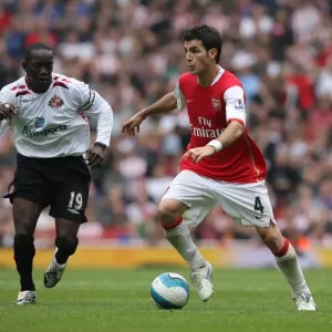 Cesc Fabregas Print (Arsenal vs Sunderland)