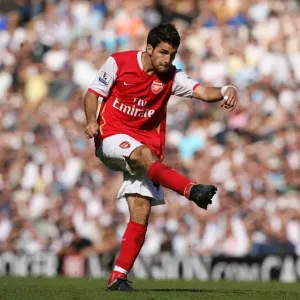 Cesc Fabregas Scores Stunner Past Paul Robinson: Arsenal Crushes Tottenham 3-1 Cesc Fabregas Scores Stunner Past Paul Robinson: Arsenal Crushes Tottenham 3-1