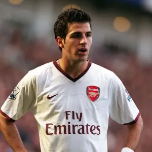 Cesc Fabregas Scores the Winner Print Cesc Fabregas Scores the Winner Print