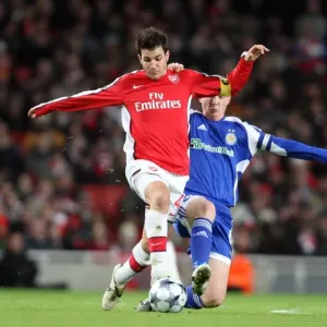 Cesc Fabregas Sparks Arsenal's 1:0 Victory over Dynamo Kiev in UEFA Champions League