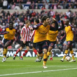 Sunderland v Arsenal 2008-9