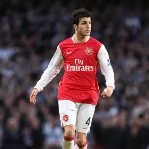 Cesc Fabregas Triumph: Arsenal 3-0 Newcastle United in FA Cup 4th Round, Emirates Stadium (2008)