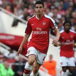 El Cesc Fabregas Triunfo: Arsenal 3-0 Tottenham Hotspur, Liga Premier de Inglaterra del Barclays, Estadio Emirates el día 31 de octubre de 2009