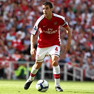 Cesc Fabregas's Brilliant Performance: Arsenal's 4-1 Victory over Portsmouth (August 22, 2009)