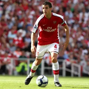Cesc Fabregas's Brilliant Performance: Arsenal's 4-1 Victory over Portsmouth (August 22, 2009) Cesc Fabregas's Brilliant Performance: Arsenal's 4-1 Victory over Portsmouth (August 22, 2009)