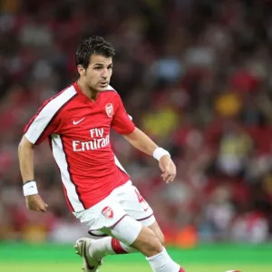 Arsenal v FC Twente 2008-09