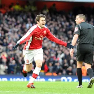Cesc Fabregas's Euphoric Moment: Arsenal's 1st Goal vs. Aston Villa (3:0) Cesc Fabregas's Euphoric Moment: Arsenal's 1st Goal vs. Aston Villa (3:0)