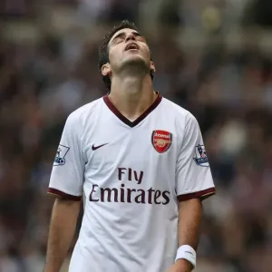 Cesc Fabregas's Game-Winning Goal: Arsenal's Triumph over West Ham United, 2007 Cesc Fabregas's Game-Winning Goal: Arsenal's Triumph over West Ham United, 2007