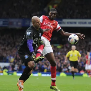Clash at Goodison Park: Yaya Sanogo vs. Tim Howard