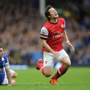 Clash of Midfield Maestros: Rosicky vs. Baines - Everton vs. Arsenal, Premier League, 2014
