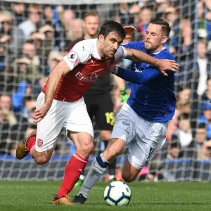 Clash of Titans: Sigurdsson vs Sokratis - Everton vs Arsenal, Premier League 2018-19 Clash of Titans: Sigurdsson vs Sokratis - Everton vs Arsenal, Premier League 2018-19
