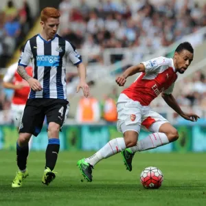 Coquelin vs. Colback: A Premier League Battle at St. James Park Coquelin vs. Colback: A Premier League Battle at St. James Park