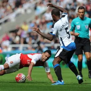 Coquelin's Brilliant Midfield Performance: Arsenal vs. Newcastle United, Premier League 2015-16 Coquelin's Brilliant Midfield Performance: Arsenal vs. Newcastle United, Premier League 2015-16
