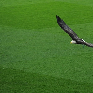 Crystal Palace eagle. Crystal Palace 3: 0 Arsenal. Premier League. Selhurst Park, 10 / 4 / 17