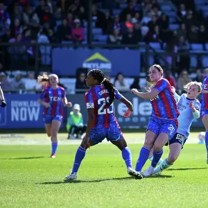 Crystal Palace v Arsenal FC - Barclays Women's Super League Crystal Palace v Arsenal FC - Barclays Women's Super League Crystal Palace v Arsenal FC - Barclays Women's Super League Crystal Palace v Arsenal FC - Barclays Women's Super League