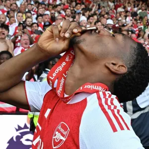 Crystal Palace v Arsenal - Premier League Crystal Palace v Arsenal - Premier League