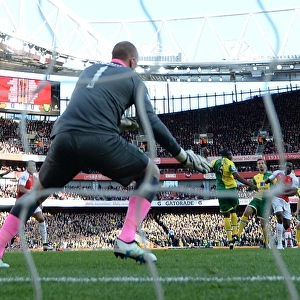 Danny Welbeck Scores the Winning Goal: Arsenal vs. Norwich City, Premier League 2015-16
