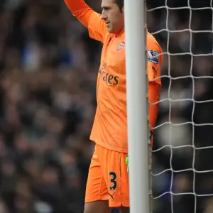 David Ospina vs. Tottenham Hotspur: Intense 2014-15 Premier League Showdown David Ospina vs. Tottenham Hotspur: Intense 2014-15 Premier League Showdown