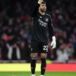 David Raya's Emotional Struggle: Arsenal vs. Wolverhampton Wanderers, 2023-24 Premier League