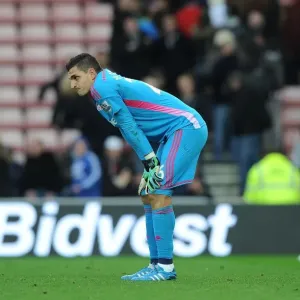 Dejected Vito Mannone: Arsenal's Second Goal Decides Sunderland's Fate (2014/15)
