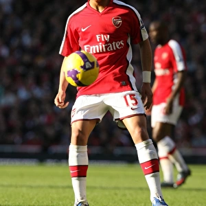 Denilson in Action: Arsenal vs. Sunderland, 0-0 Barclays Premier League Draw at Emirates Stadium (2009)