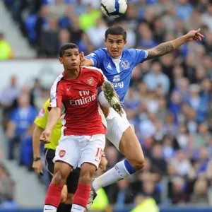 Denilson (Arsenal) Tim Cahill (Everton) Print Denilson (Arsenal) Tim Cahill (Everton) Print